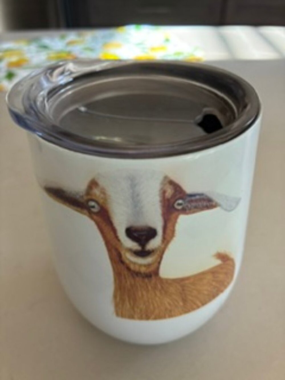 Insulated Cup
